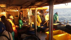 Read more about the article SAHLLA warm body at sea Observer programme.